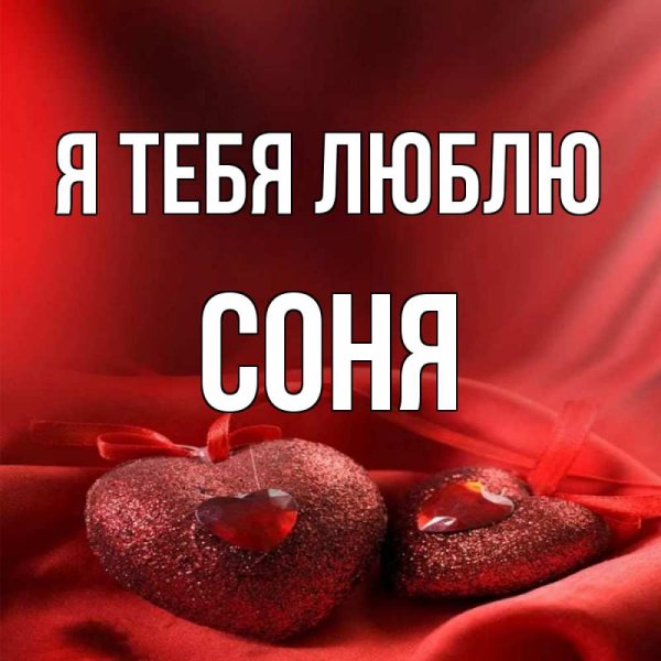 Соня я тебя люблю