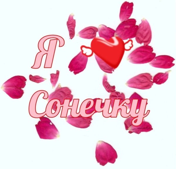 Любимой Сонечке