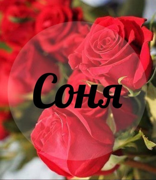 Соня красивое имя