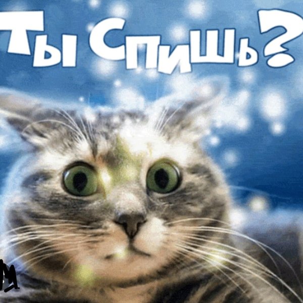 Ты спишь картинки прикольные