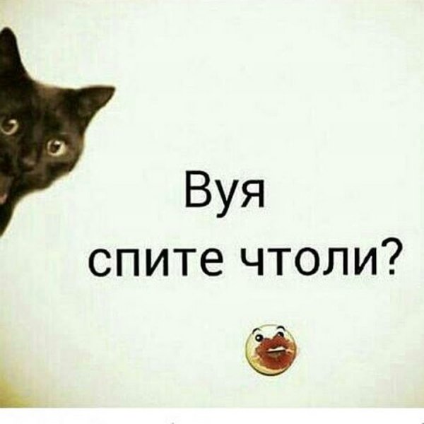 Спать картинки