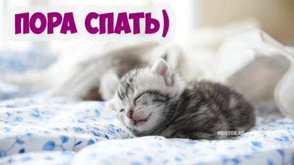 Пора спать!