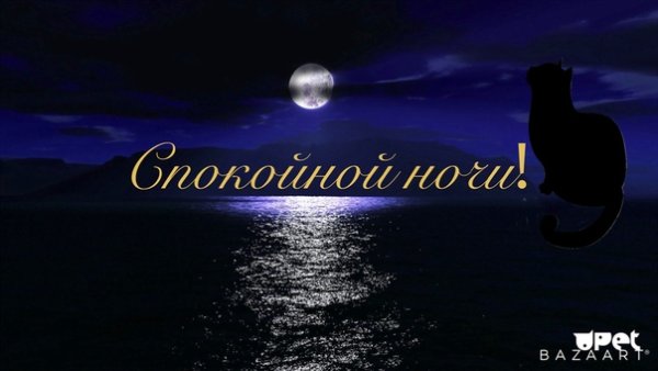 Спокойной ночи сладких снов