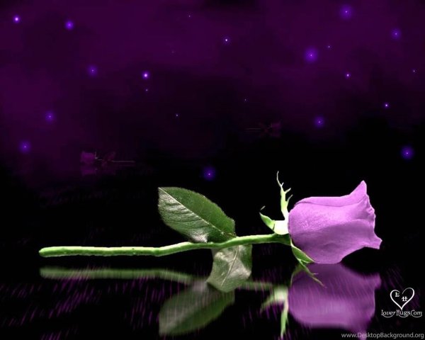 Открытки спокойной ночи