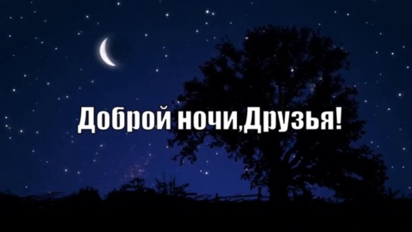 Доброй ночи группа