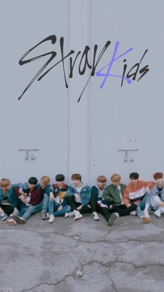 Эстетика stay Stray Kids