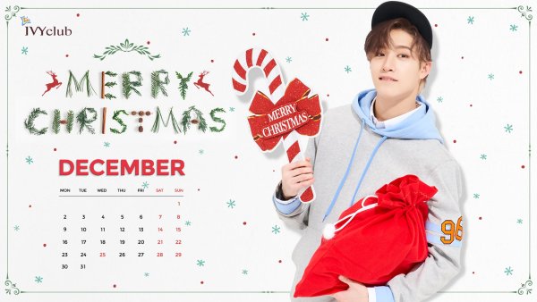 Stray Kids Рождество 2020