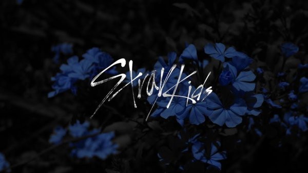 Stray Kids фон