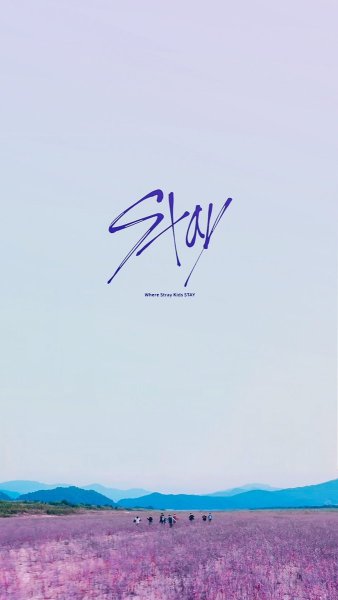Эстетика stay Stray Kids