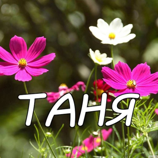 Красиво имя Таня