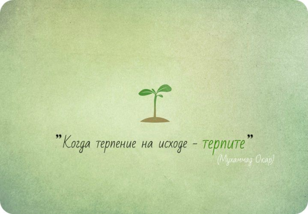 Терпение на исходе