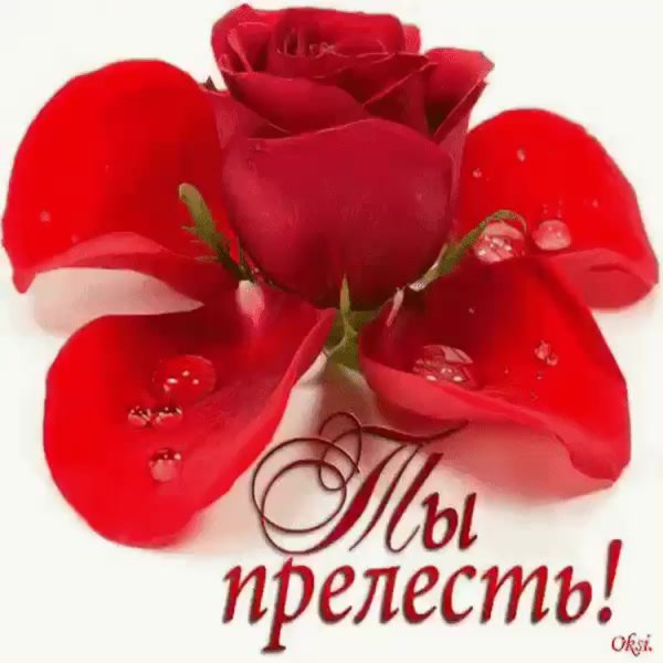 Цветочки для Леночки