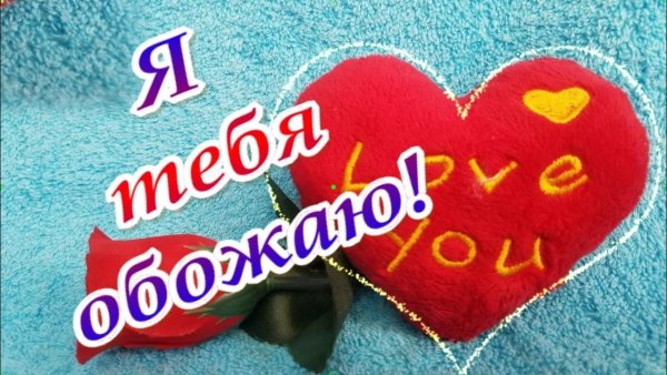 Обожаю тебя солнышко