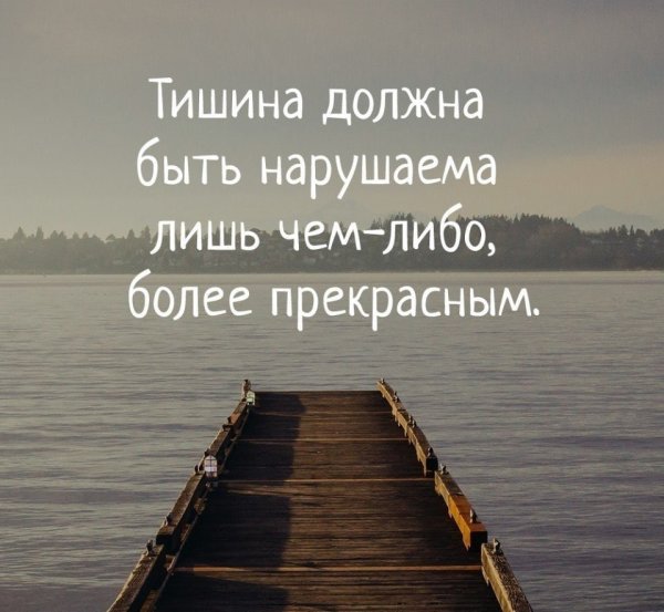 Тишина цитаты