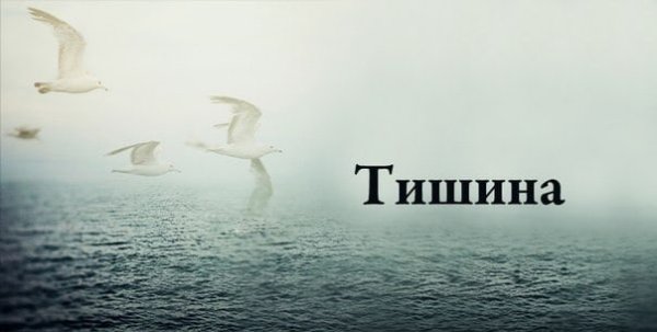 Тишина картинки с надписями