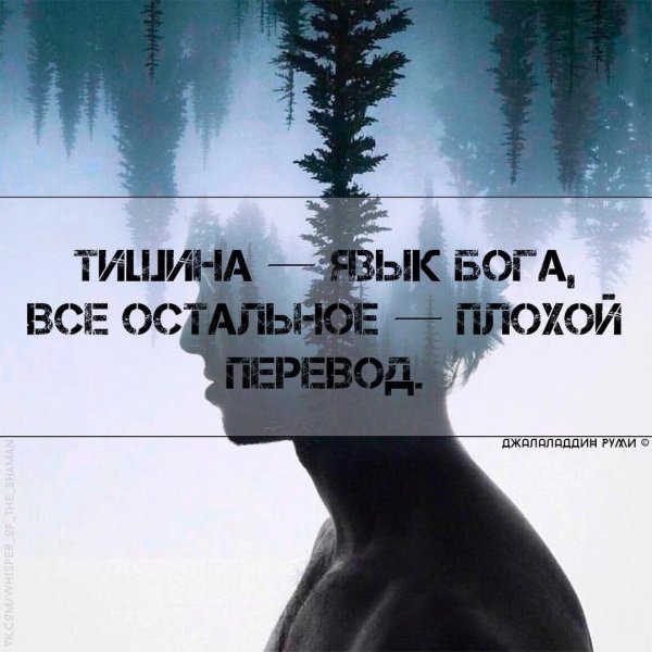 Тишина цитаты