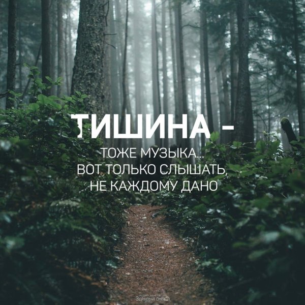Тишина цитаты
