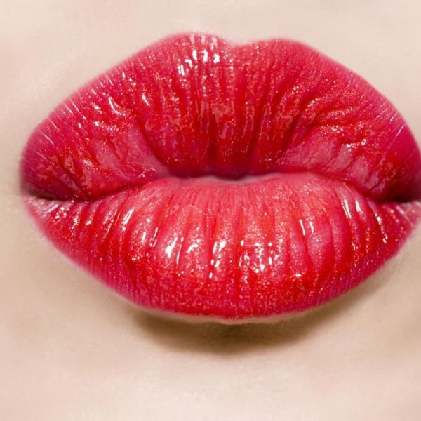 Красивые губки