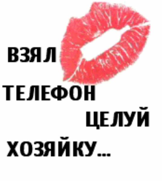 Взял телефон целуй хозяйку