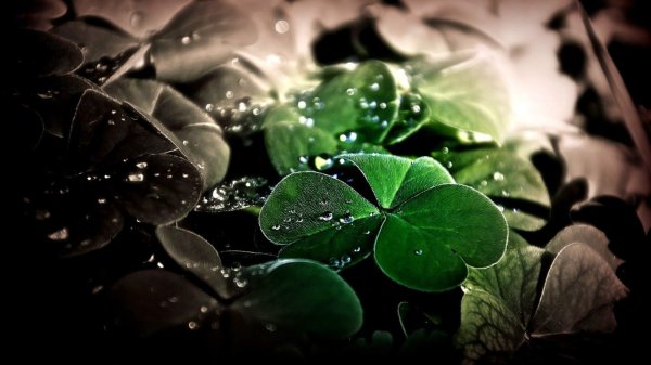 Обои на рабочий стол удача