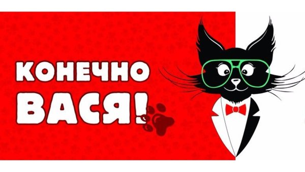 Вася логотип