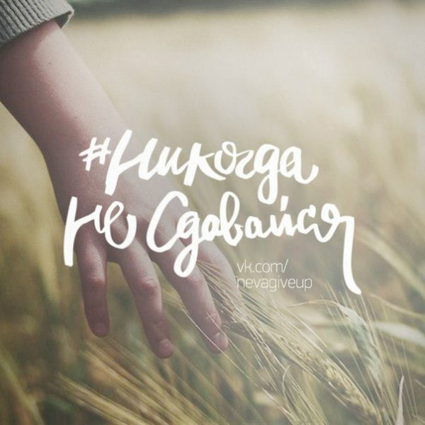 Никогда не сдавайся надпись