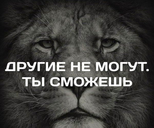 Ты все сможешь