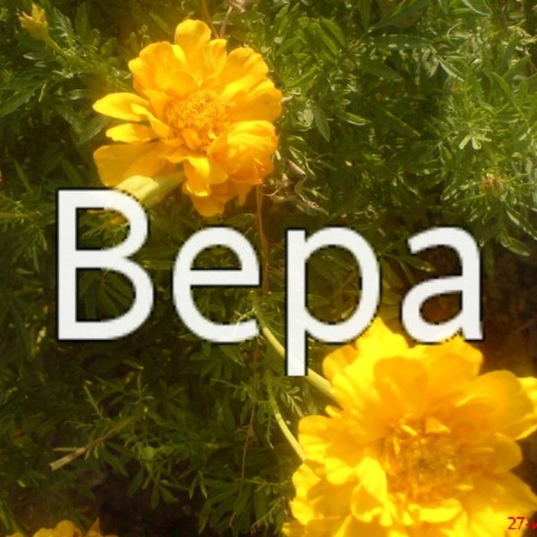 Ава Вера только моя
