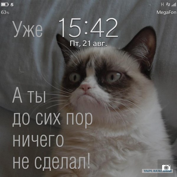 Уже а ты ничего не сделал