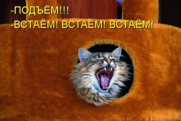 Пора вставать