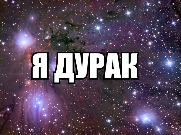 Я дурак