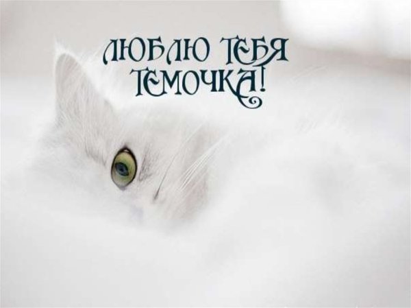 Я люблю Артема