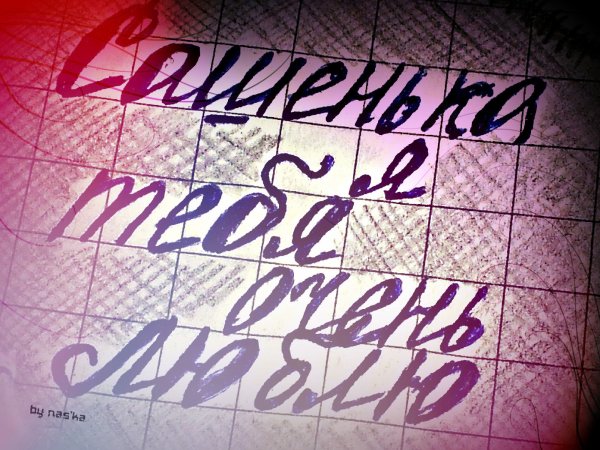 Саша я тебя люблю