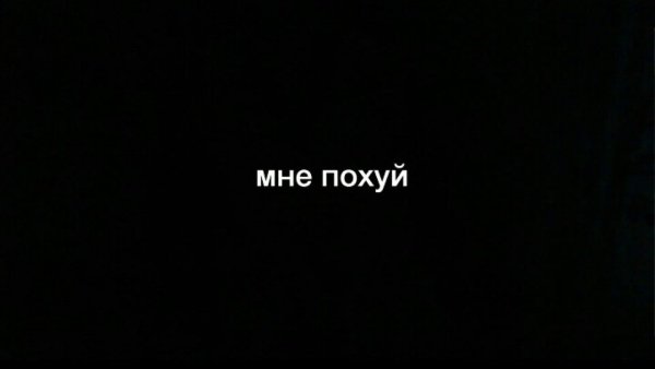 Обои с надписью мне похуй