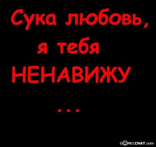 Ненавижу любовь