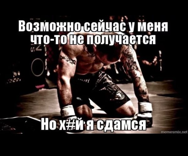 Я не сдамся картинки