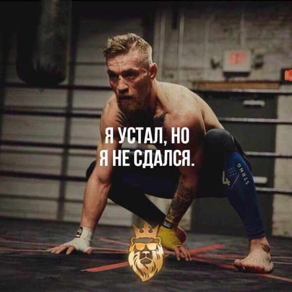 Я не сдамся