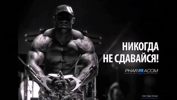 Никогда не сдавайся мотивация