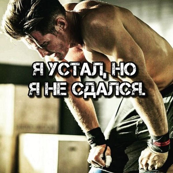 Я не сдамся