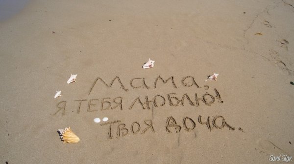 Мама, я тебя люблю!