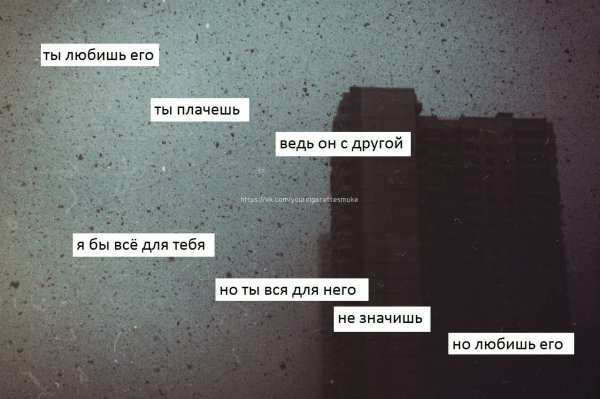 Ты его любишь