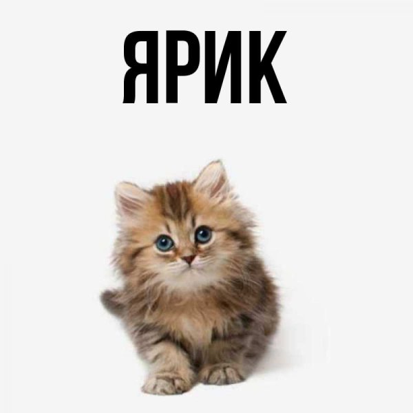 Открытки для Гули