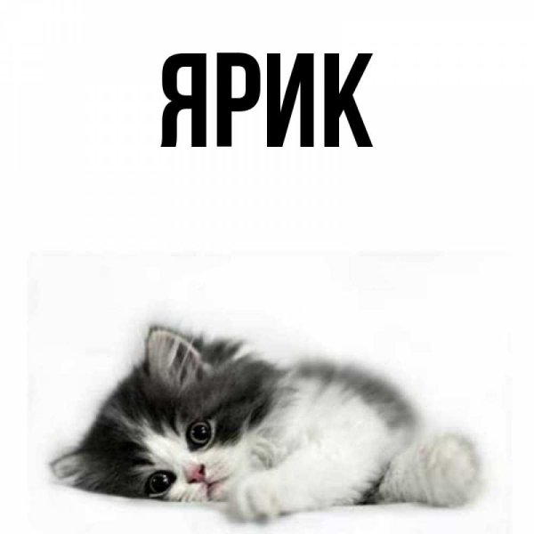 Гаяс