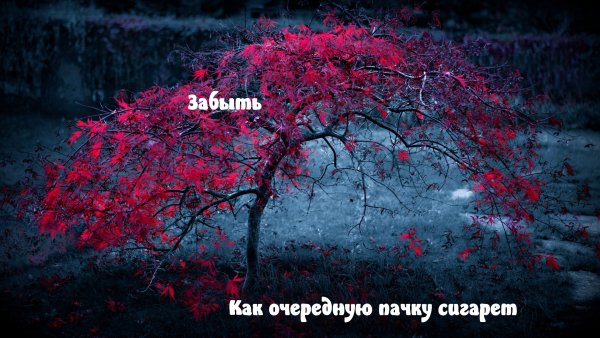 Обои на телефон грустные цитаты