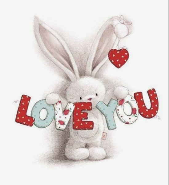 Любимый зайчик