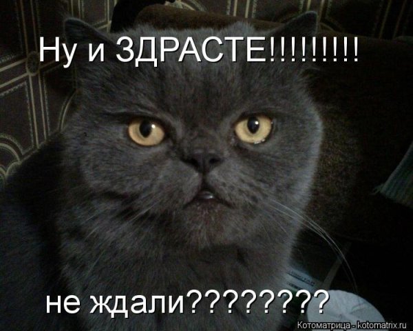 Ну здрасте