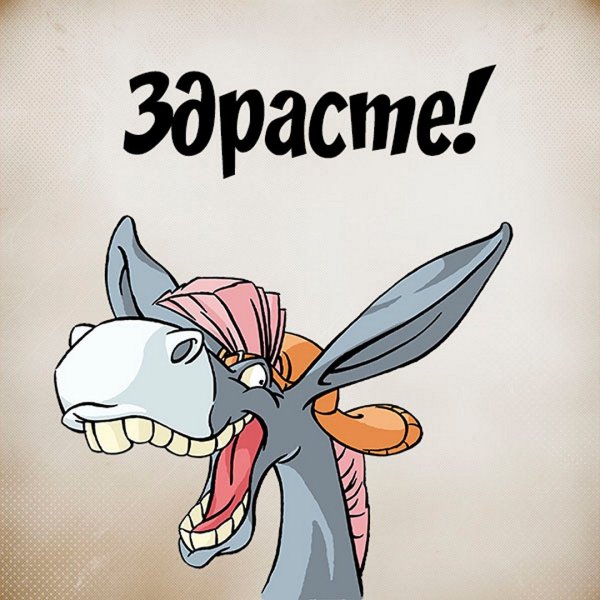 Здрасьте картинки смешные