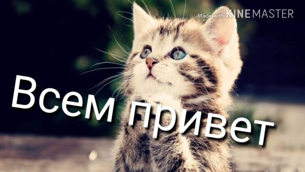Всем привет