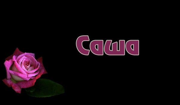 Света имя