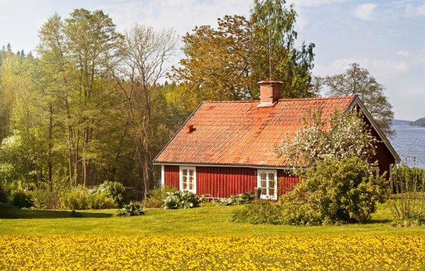 Домик в деревне